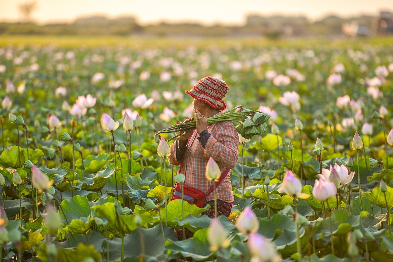 Lotus Pond-Women