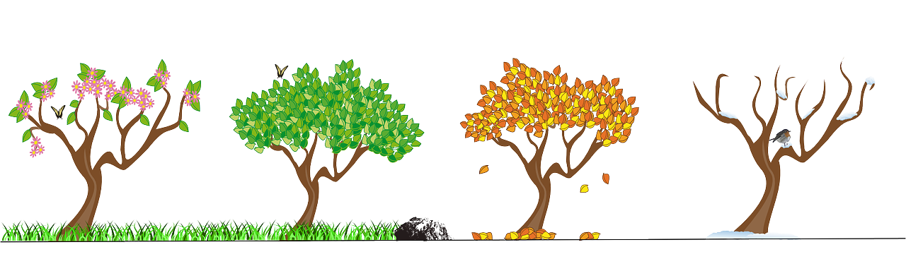 Indian Seasons