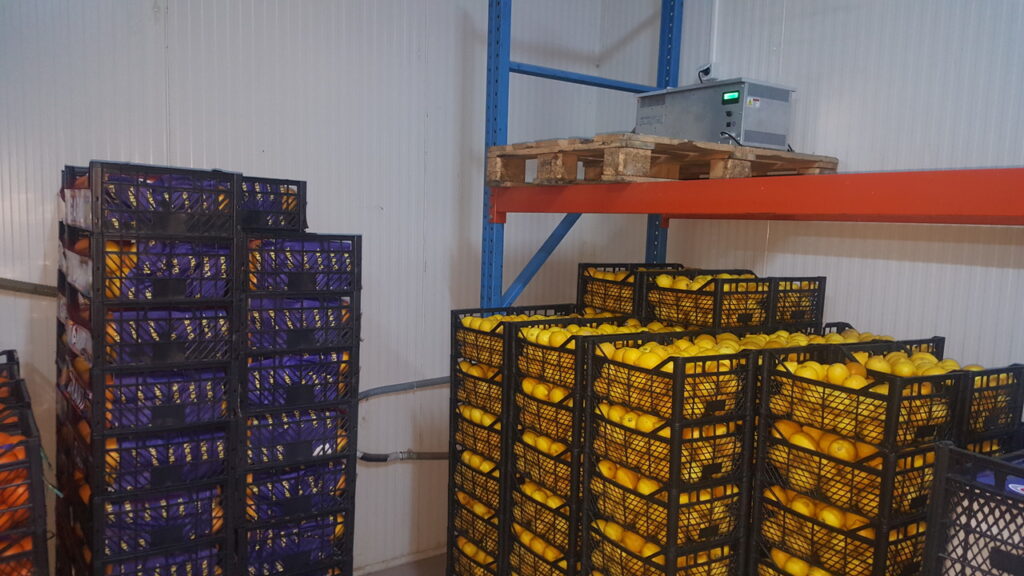 Cold storage room-produce-chiller-fruits-