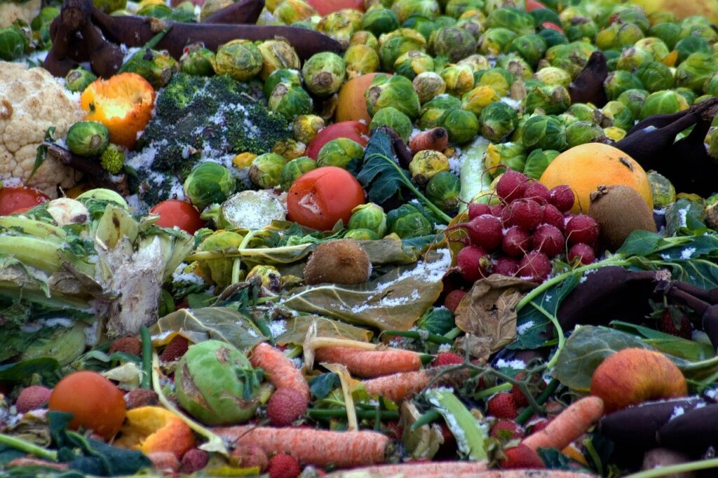 Vegetables Wastes